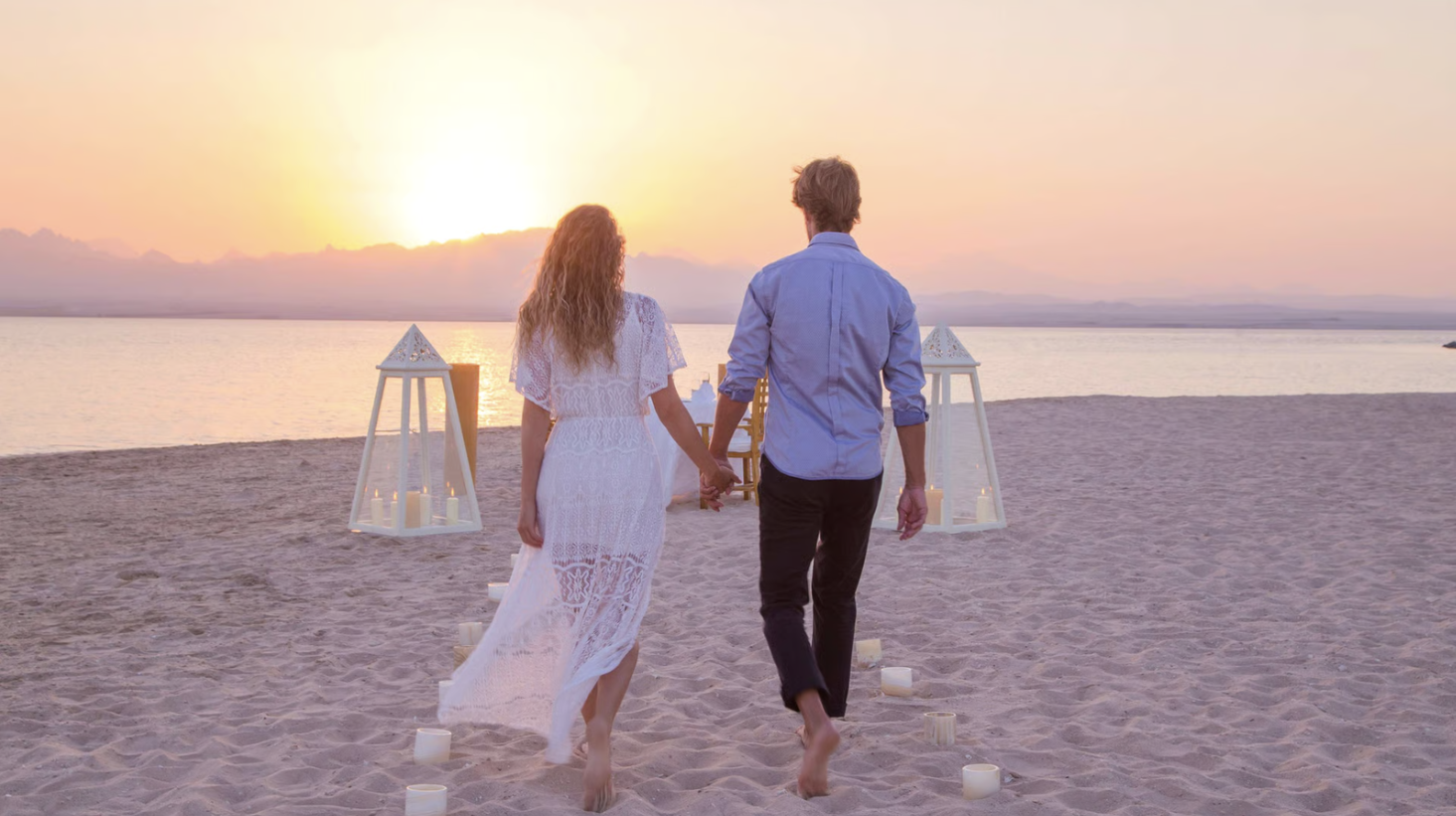 Kempinski Hotel Soma Bay-couple gull flying above body of water