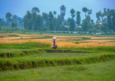 a woman walking through a lush green field